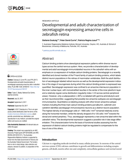 Developmental and Adult Characterization of Secretagogin Expressing Amacrine Cells in Zebrafish Retina