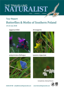 Butterflies & Moths of Southern Poland July 2018 Tour Report