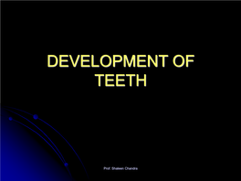 Development of Teeth