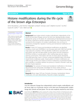 Histone Modifications During the Life Cycle of the Brown Alga Ectocarpus