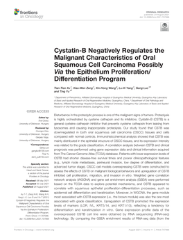 Cystatin-B Negatively Regulates the Malignant Characteristics of Oral Squamous Cell Carcinoma Possibly Via the Epithelium Proliferation/ Differentiation Program