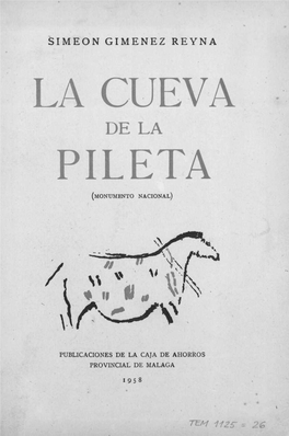 La Cueva Pileta