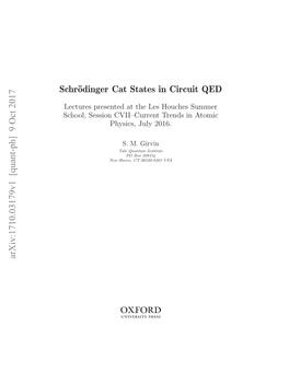 Schrödinger Cat States in Circuit