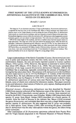 First Report of the Little-Known Scyphomedusa <I>Drymonema Dalmatinum</I> in the Caribbean Sea, with Notes on Its Bi