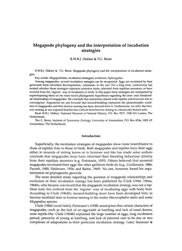 Megapode Phylogeny and the Interpretation of Incubation Strategies