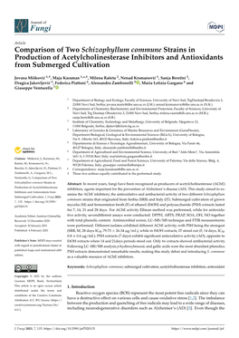 Comparison of Two Schizophyllum Commune Strains in Production of Acetylcholinesterase Inhibitors and Antioxidants from Submerged Cultivation