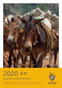 RESEARCH YEAR in REVIEW 2020 Thedonkeysanctuary.Org.Uk 3 FOREWORD RESEARCH in 2020