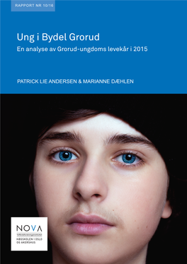 Ung I Bydel Grorud 2015