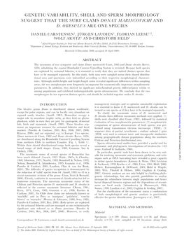 Genetic Variability, Shell and Sperm Morphology Suggest That the Surf Clams Donax Marincovichi and D