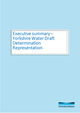 Executive Summary – Yorkshire Water Draft Determination Representation