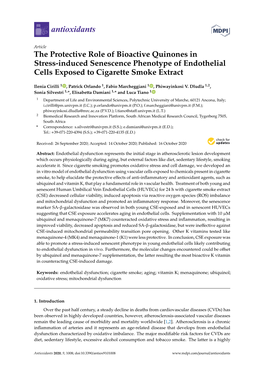 The Protective Role of Bioactive Quinones in Stress-Induced Senescence Phenotype of Endothelial Cells Exposed to Cigarette Smoke Extract