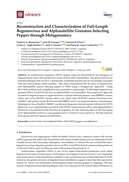 Reconstruction and Characterization of Full-Length Begomovirus and Alphasatellite Genomes Infecting Pepper Through Metagenomics