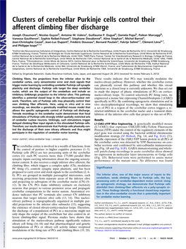 Clusters of Cerebellar Purkinje Cells Control Their Afferent Climbing Fiber