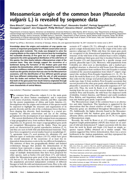 Mesoamerican Origin of the Common Bean (Phaseolus Vulgaris L.) Is Revealed by Sequence Data