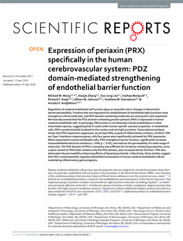 Expression of Periaxin (PRX) Specifically in the Human