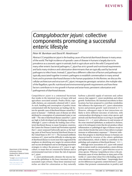 Campylobacter Jejuni: Collective Components Promoting a Successful Enteric Lifestyle