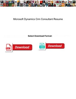 Microsoft Dynamics Crm Consultant Resume