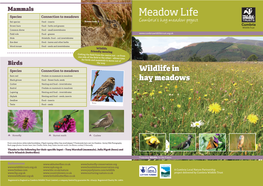 Wildlife in Hay Meadows