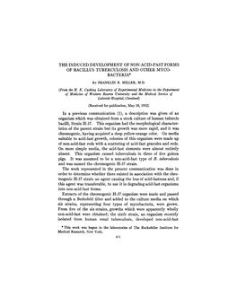 The Induced Development of Non-Acid-Fast Forms of Bacillus Tuberculosis and Other Myco- Bacteria* by Franklin R