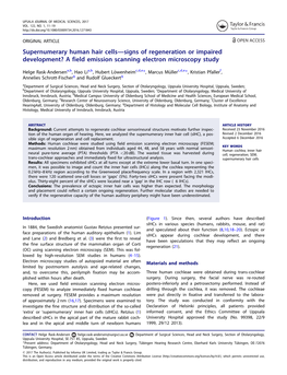 Supernumerary Human Hair Cells—Signs of Regeneration Or Impaired Development? a Field Emission Scanning Electron Microscopy Study