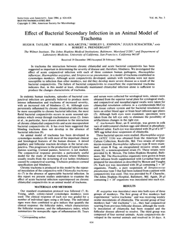 Effect of Bacterial Secondary Infection in an Animal Model of Trachoma