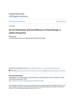 On I/O Performance and Cost Efficiency of Cloud Orst Age: a Client's Perspective