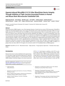 Hypoxia-Induced Microrna-212/132 Alter Blood-Brain Barrier Integrity