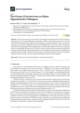 The Genus Ochrobactrum As Major Opportunistic Pathogens