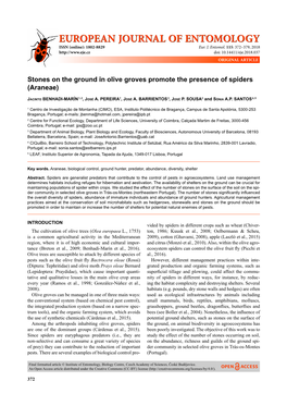 Stones on the Ground in Olive Groves Promote the Presence of Spiders (Araneae)