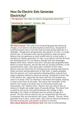 How Do Electric Eels Generate Electricity? the Question: How Does an Electric Eel Generate Electricity?