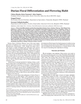 Durian Floral Differentiation and Flowering Habit