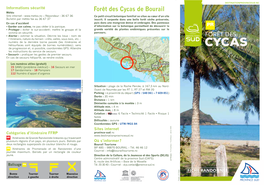 Forêt Des Cycas De Bourail