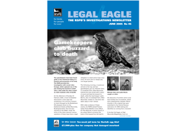 Legal Eagle 45