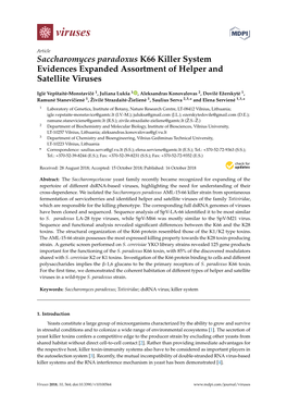 Saccharomyces Paradoxus K66 Killer System Evidences Expanded Assortment of Helper and Satellite Viruses