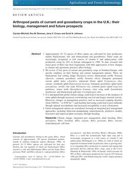 Arthropod Pests of Currant and Gooseberry Crops in the U.K.: Their Biology, Management and Future Prospects