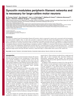 Syncoilin Modulates Peripherin Filament Networks and Is Necessary for Large-Calibre Motor Neurons