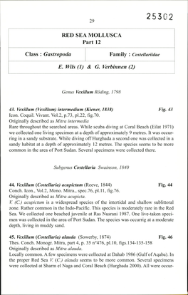 RED SEA MOLLUSCA Part 12 Class : Gastropoda E. Mis (1) & G