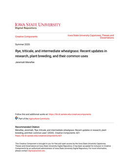 Rye, Triticale, and Intermediate Wheatgrass: Recent Updates in Research, Plant Breeding, and Their Common Uses