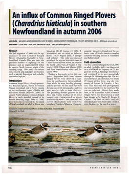 An Influx of Common Ringed Plovers (<I>Charadrius Hiaticula</I>) in Southern Newfoundland in Autumn 2006