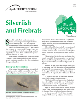Silverfish and Firebrats Wizzie Brown*