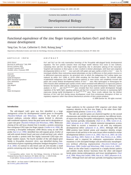 Functional Equivalence of the Zinc Finger Transcription Factors Osr1 and Osr2 in Mouse Development