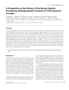 A Perspective on the History of the Iberian Gypsies Provided by Phylogeographic Analysis of Y-Chromosome Lineages ∗ A