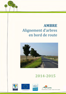 Rapport Des Alignements En Bord De Routes