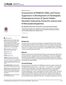 Involvement of PSMD10, CDK4, and Tumor Suppressors in Development of Intrahepatic Cholangiocarcinoma of Syrian Golden Hamsters I