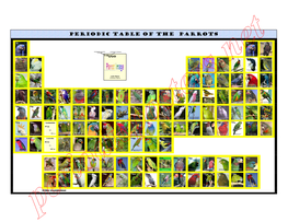 Periodic Table of the Parrots