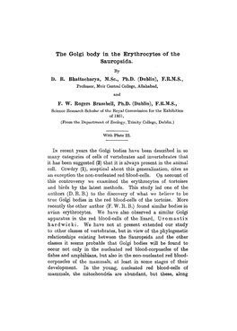 The Golgi Body in the Erythrocytes of the Sauropsida. by D