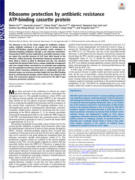 Ribosome Protection by Antibiotic Resistance ATP-Binding Cassette Protein