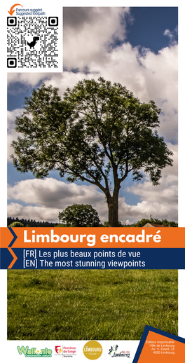 Limbourg Encadré, Flyer