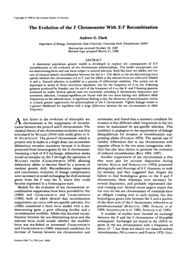 The Evolution of the Y Chromosome with X-Y Recombination