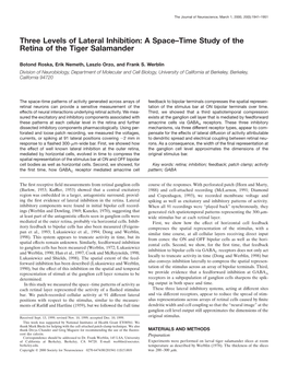 Three Levels of Lateral Inhibition: a Space–Time Study of the Retina of the Tiger Salamander